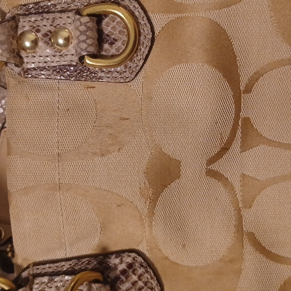 Coach C1320-F24889 Sig snake skin trim handbag - Picture 10 of 16